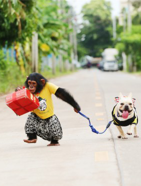<b>《神奇伙伴在哪里》暖心庆生 “假蛋糕”里藏着真情意</b>