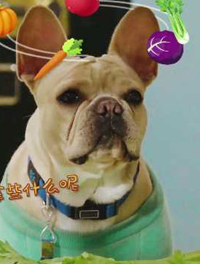 <b>吃饭睡觉亲冬冬 《神奇伙伴在哪里》小米亚演绎“秒吸粉”</b>