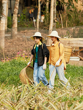 <b>《向往4》成语接龙再现“名场面”西双版纳风情惹人关注</b>