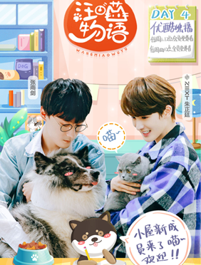 <b>汪喵小屋迎来新伙伴 喵之屋生日派对庆生忙</b>