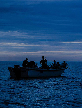 《向往6》浪漫海上日出直播 节目内外传递治愈力量