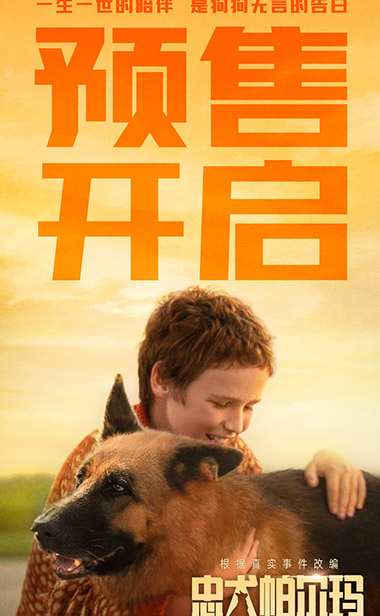 《忠犬帕尔玛》点映收获好评满满 首发中文配音预告开启预售