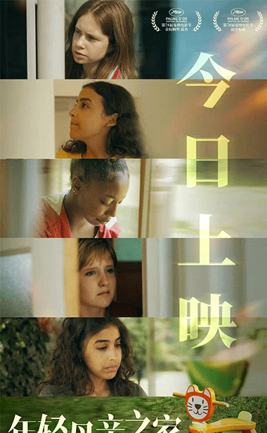 戛纳最佳剧本《年轻母亲