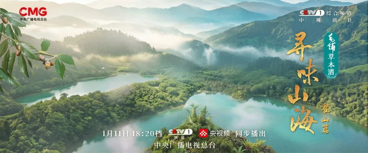 安徽霍山，卧于大别山腹地，北纬31度的群山褶皱之中。主峰白马尖，海拔1777米，如巨椽拔地而起，是皖西挺拔的脊梁。 这