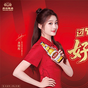 燕京啤酒2026春节战略曝光：“小发”上线，搞一波“大的”！