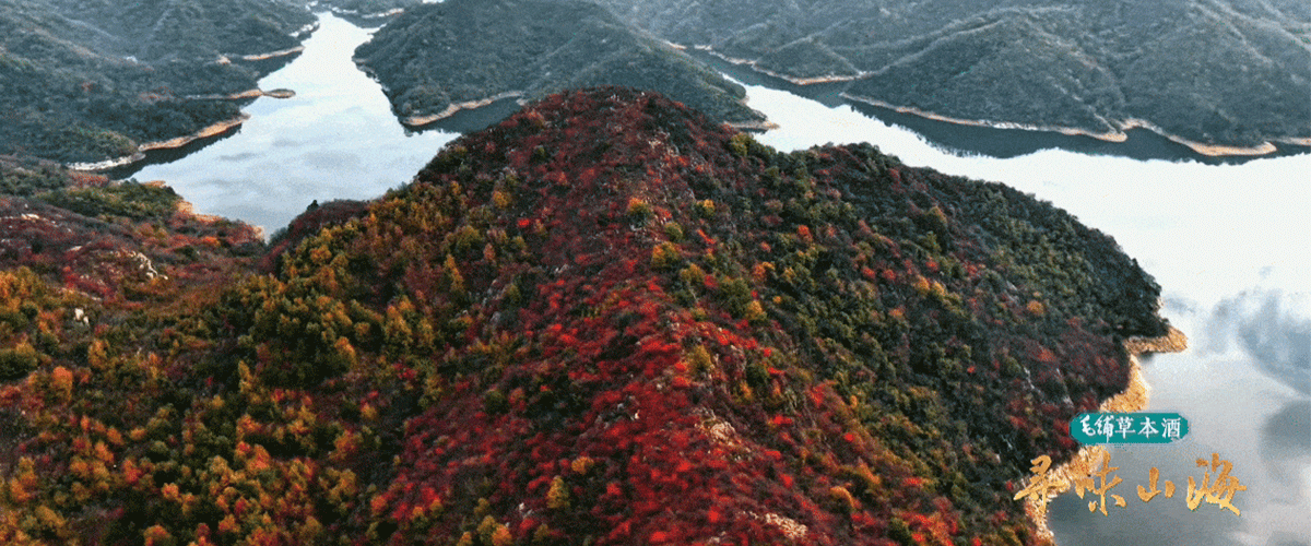 湖北随州华夏腹地，鄂北重镇。北倚桐柏山为天然屏障，南枕大洪山绵延起伏，东接大别山余脉，清流涢水纵贯全境，形成了