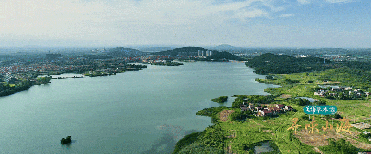 在中国东部的江南腹地，江苏南京溧水静卧于无想山的苍翠与石臼湖的烟波之间。山以极高的森林覆盖率守护着这片土地的灵