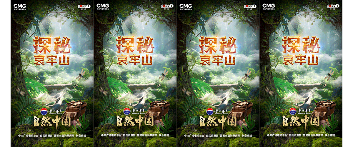 由中央广播电视总台、自然资源部、国家林业和草原局联合摄制的大型系列片《探秘哀牢山》，将于2月9日起在央视综合频道