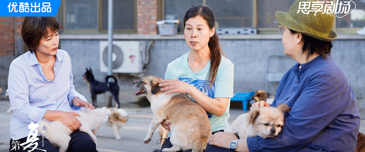 近日，由优酷人文精心打造的深度对谈节目《第一人称复数》第三季正式收官。本季节目自12月16日于优酷全网独播以来，访