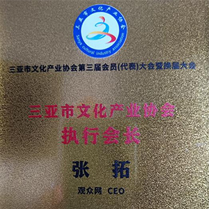 三亚市文化产业协会换届大会顺利召开 凝聚合力赋能文旅高质量发展