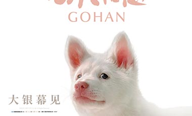 泰国年度票冠《心犬相随》引进内地 粉红