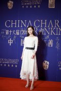 宋轶荣获“年度慈善明星” 以身作则助力公益