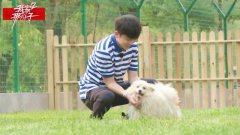 武艺《我家那小子2》参与宠物助养 为狗狗克服心理障碍清粪便