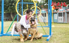 《神犬小七3》开播 王祉萱反差出演温婉女兽医