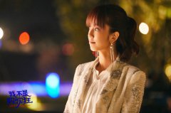  陈庭妮《我不是购物狂》收官 黄燕南解决易能购资金危机