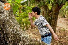 《向往4》版纳突降冰雹 蘑菇屋遭遇有史以来最大暴风雨