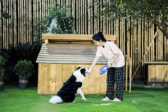 《奇妙小森林》户外探险 谭松韵为萌娃贴心护航