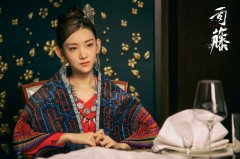 李沐宸《司藤》热播中 沈银灯真实身份引热议