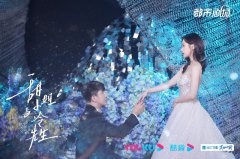 《甜小姐与冷先生》今日开播 王子文金瀚全糖恋爱零糖工作