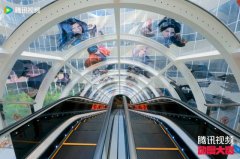 2025腾讯视频动漫大赏：在热爱与创新中奔赴未来