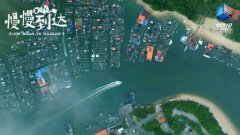 倒计时3天，海南自贸港全岛封关！CCTV-